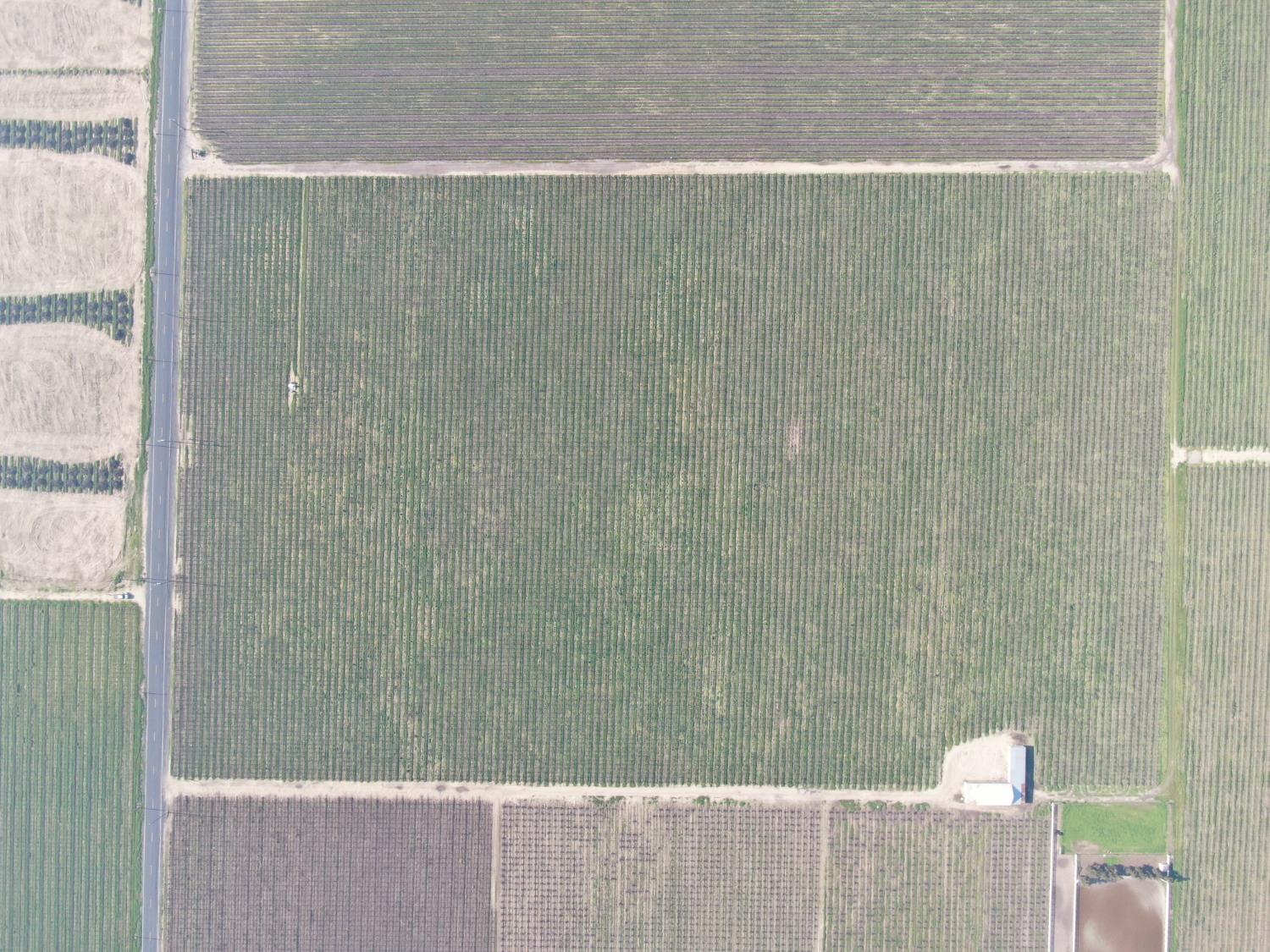 3409 West Woodbridge Road Lodi, CA 95242 - Photo 2 of 9