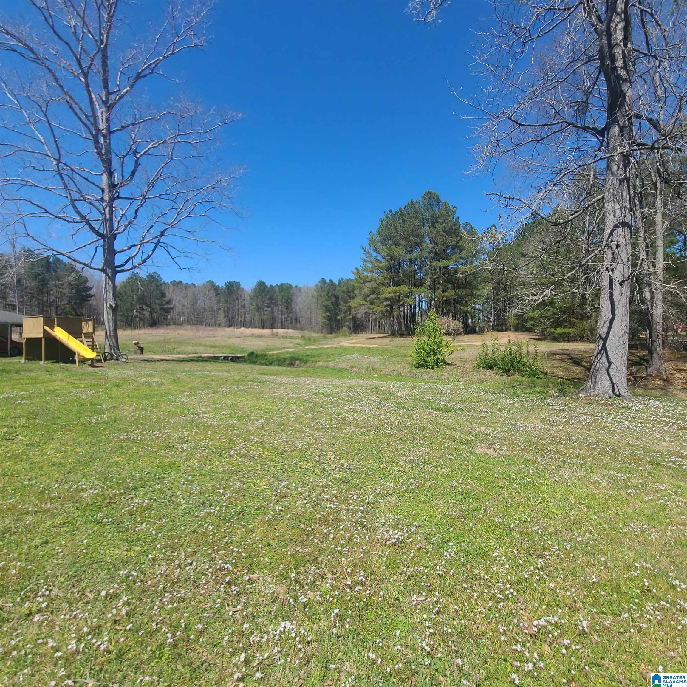 3521 Mt Moriah Road South Pell City, AL 35125 - Photo 16 of 18