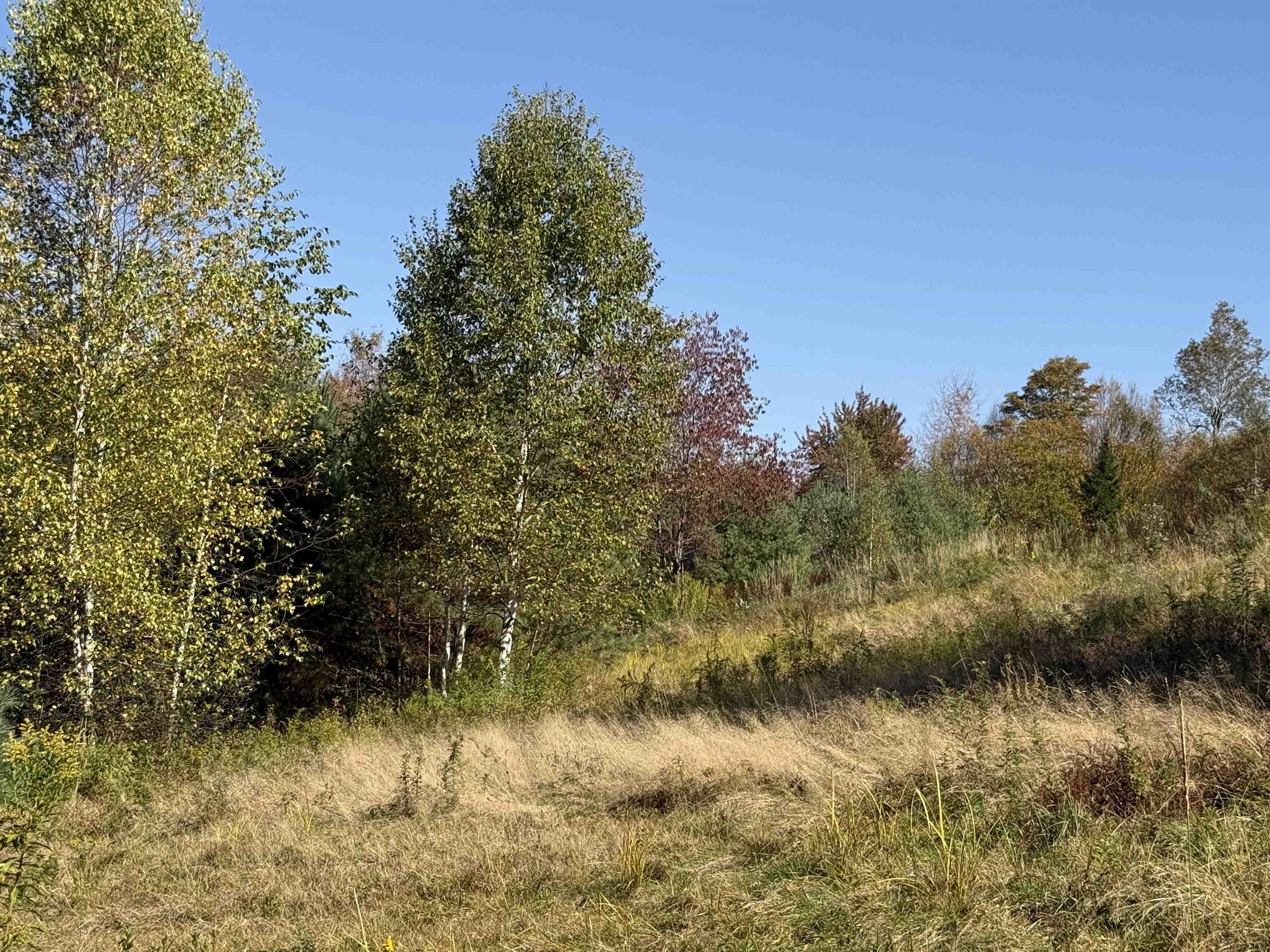 216 Ghastly Job Way Wilmington, VT 05363 - Photo 37 of 41