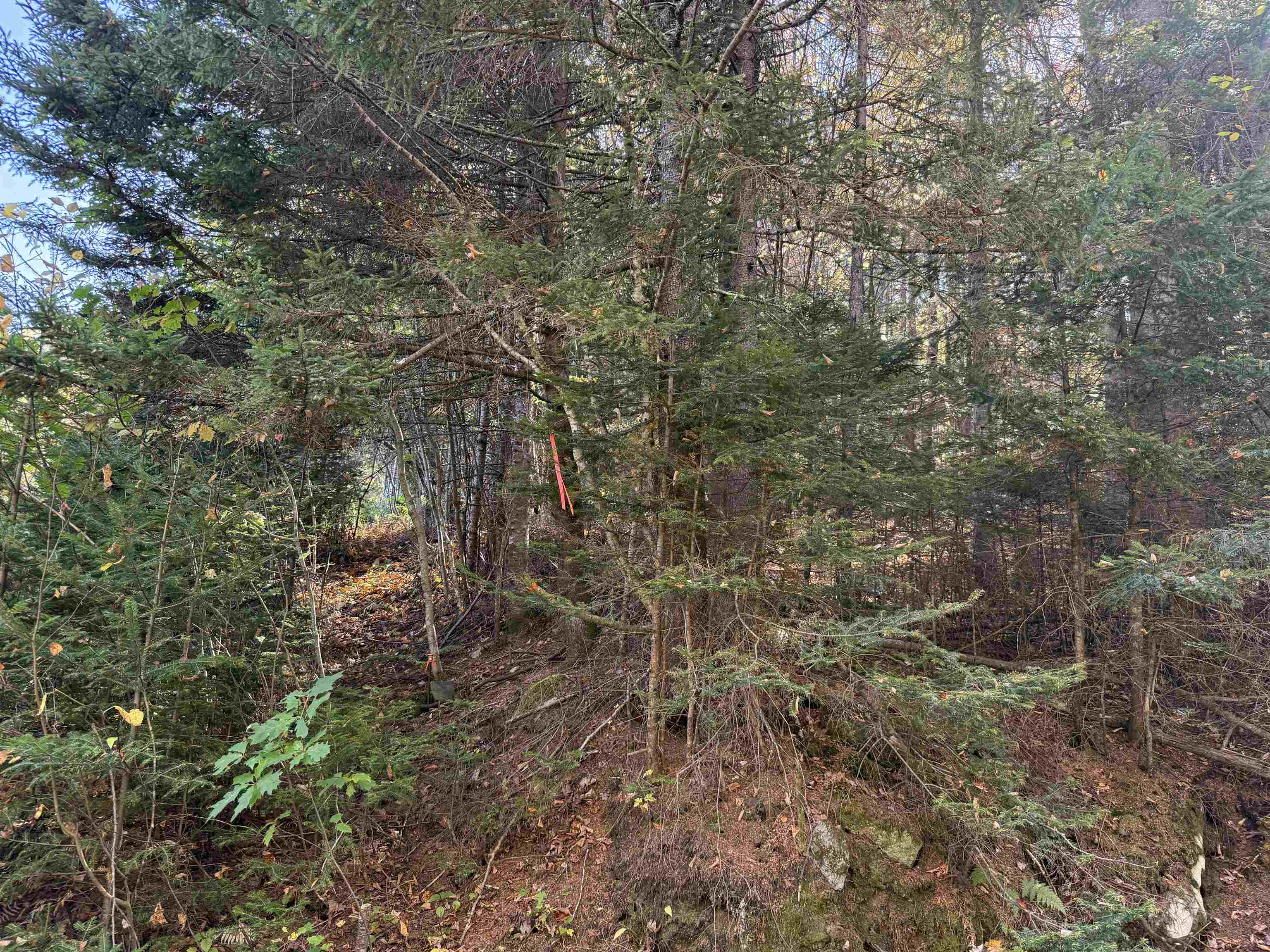 216 Ghastly Job Way Wilmington, VT 05363 - Photo 38 of 41