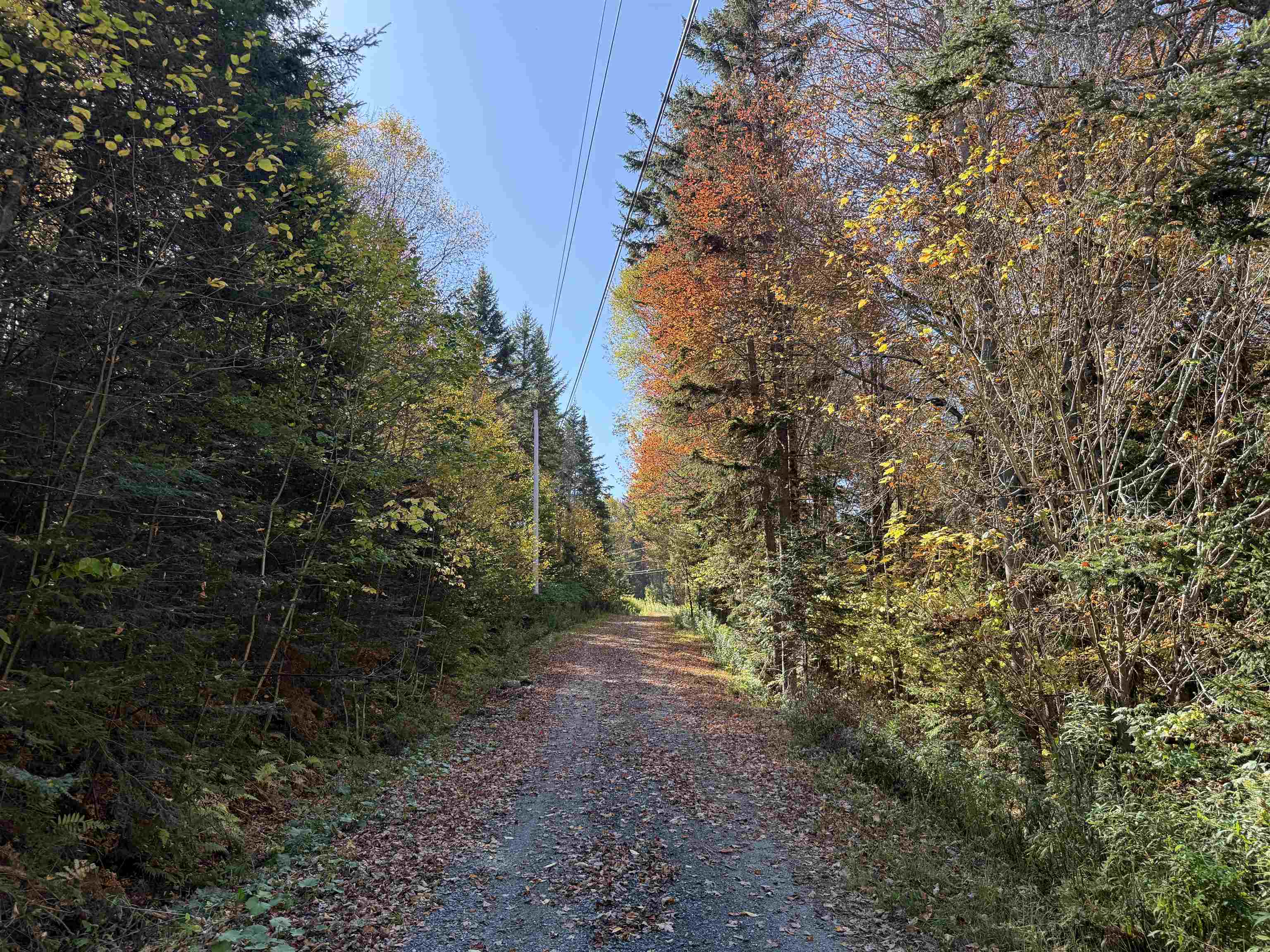 216 Ghastly Job Way Wilmington, VT 05363 - Photo 39 of 41