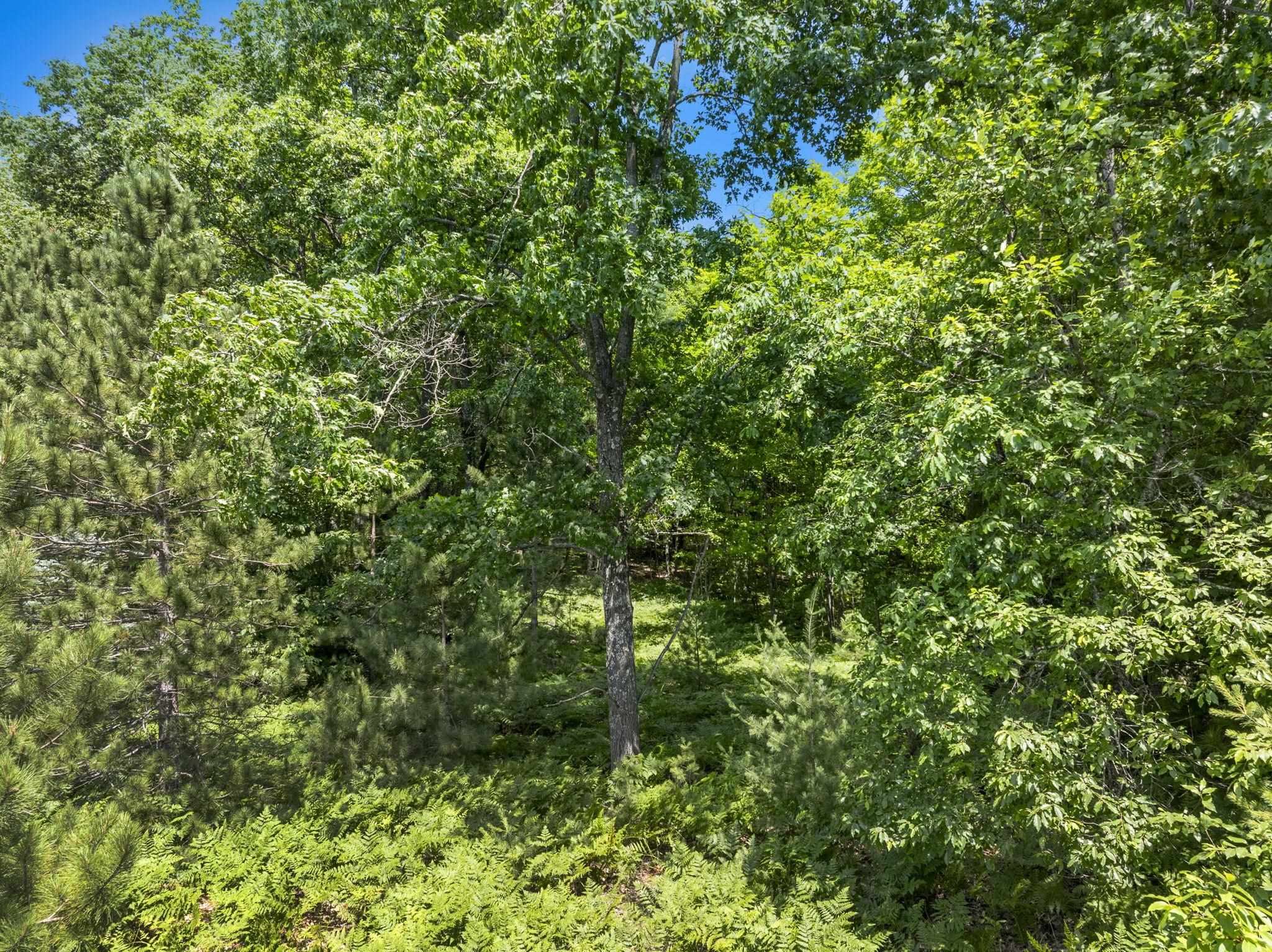 0 East O'Dell Road Williamsburg, MI 49690 - Photo 12 of 17 1947724-340f8250-8643-4dd8-9f86-12a3ee5f9590.JPG