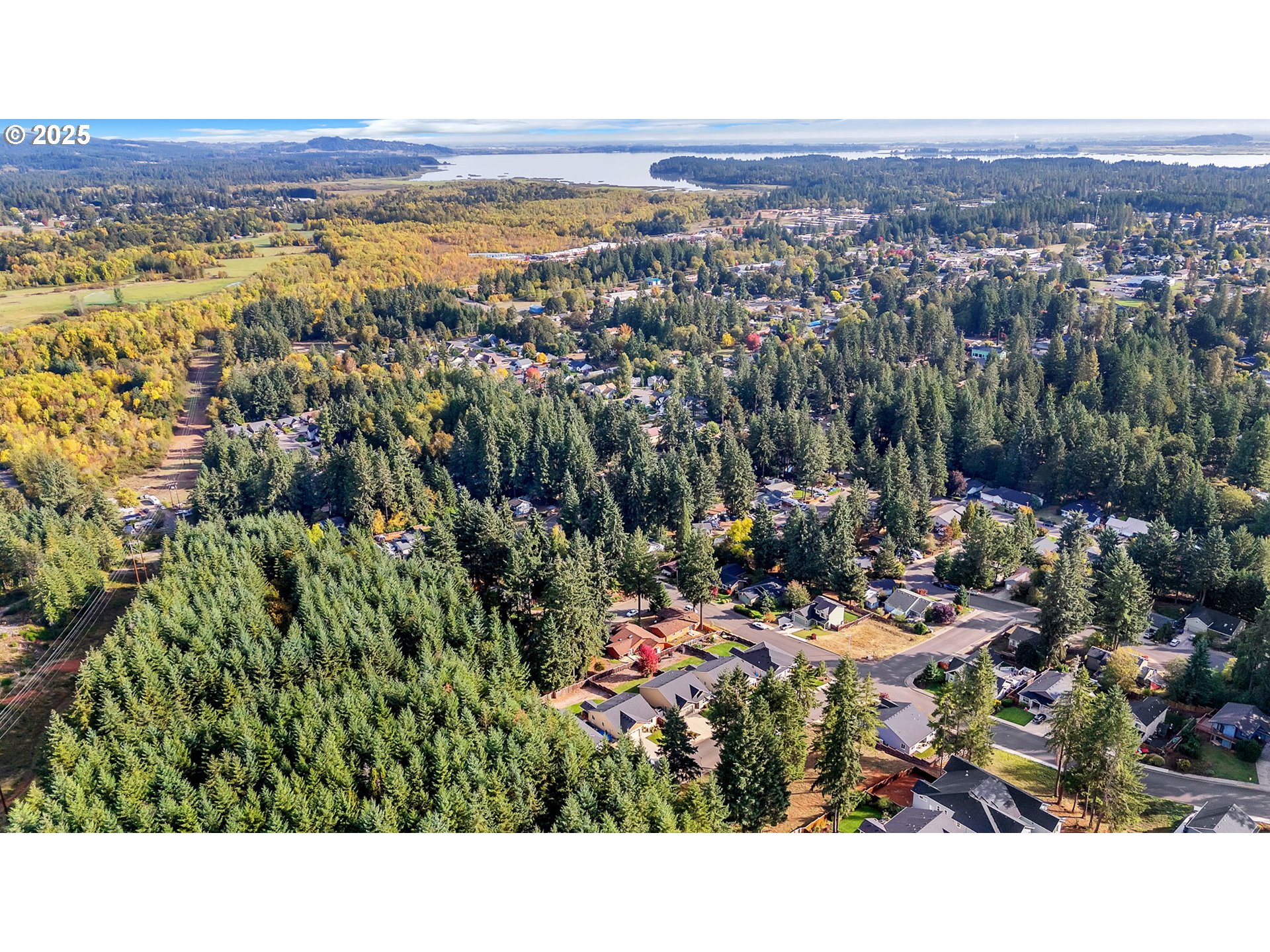 24701 Nottingham Street Veneta, OR 97487 - Photo 27 of 28 a view of city and mountain