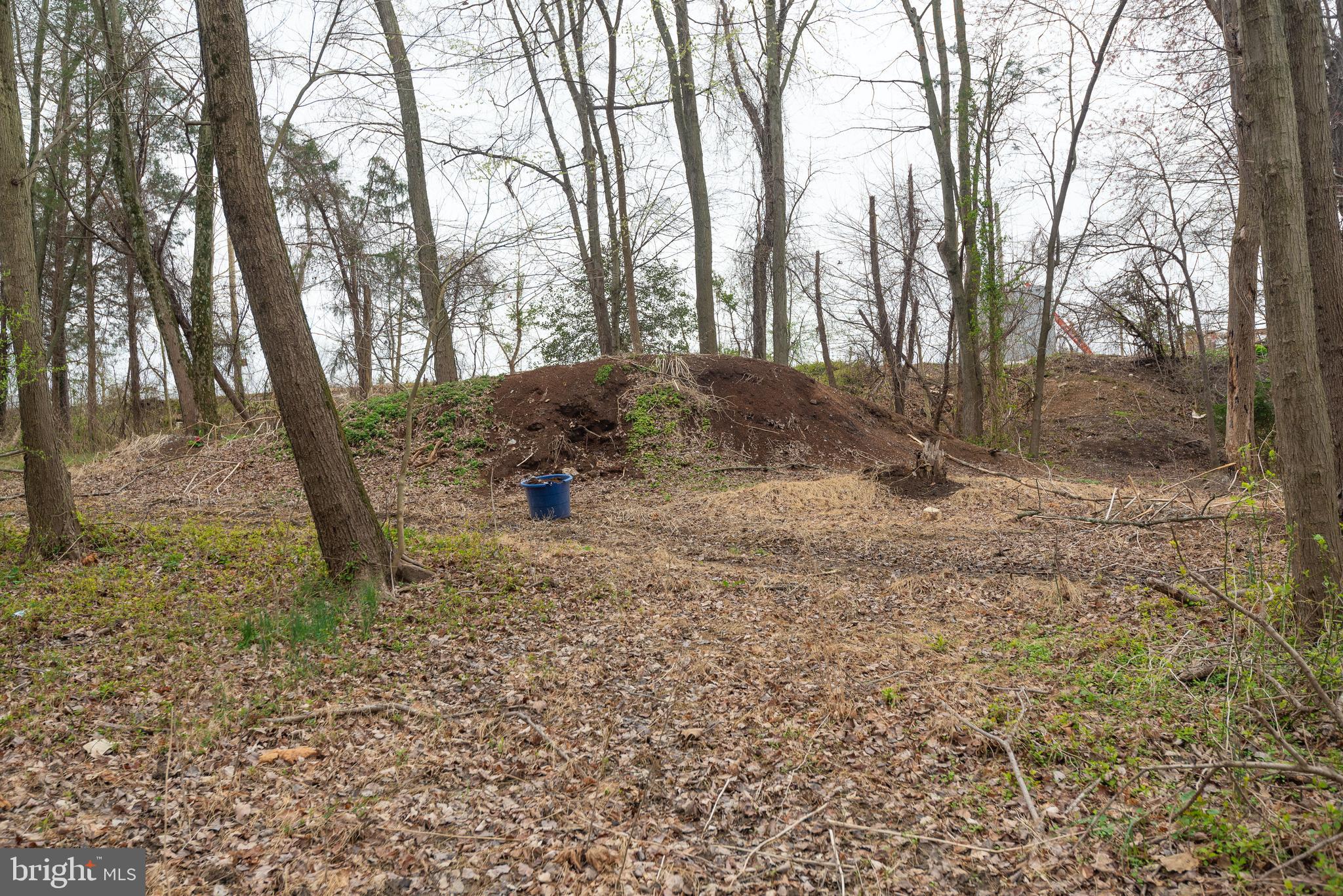 19601 Darnestown Road Beallsville, MD 20839 - Photo 56 of 119 a view of a forest filled with trees