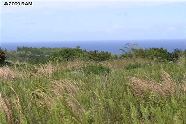 0 South Holokai Road, Unit LOT 4 Haiku, HI 96708 - Photo 3 of 10 a view of a lush green space with sea
