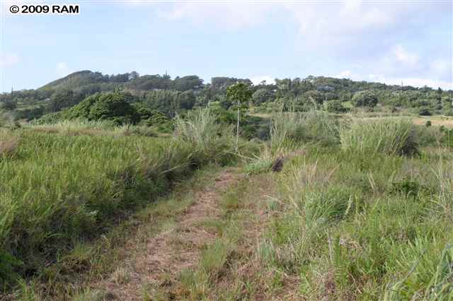 0 South Holokai Road, Unit LOT 4 Haiku, HI 96708 - Photo 4 of 10 a view of a lush green forest with a lake