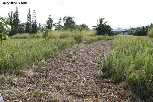 0 South Holokai Road, Unit LOT 4 Haiku, HI 96708 - Photo 5 of 10