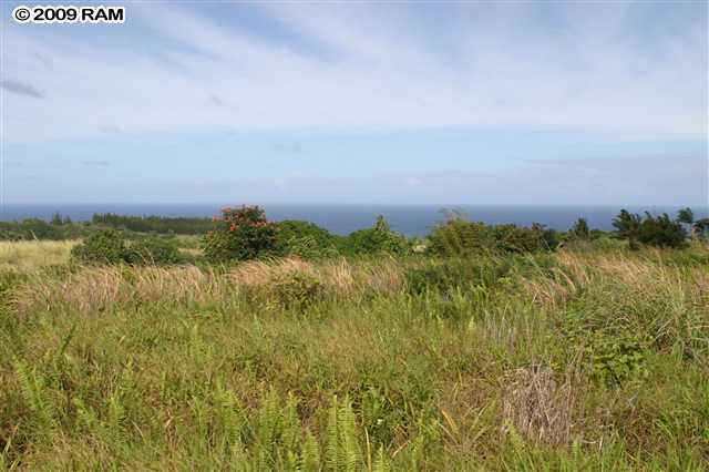0 South Holokai Road, Unit LOT 4 Haiku, HI 96708 - Photo 6 of 10 a view of a field with an ocean