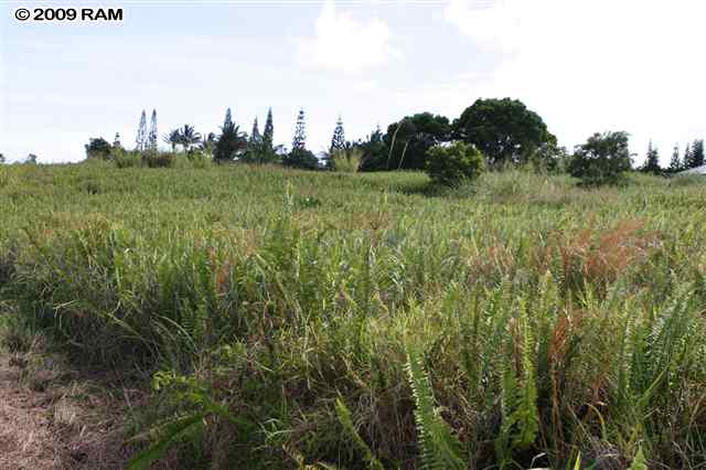 0 South Holokai Road, Unit LOT 4 Haiku, HI 96708 - Photo 9 of 10 a view of a city