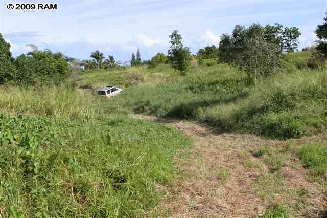0 South Holokai Road, Unit LOT 4 Haiku, HI 96708 - Photo 10 of 10 a view of a lush green forest with lots of trees