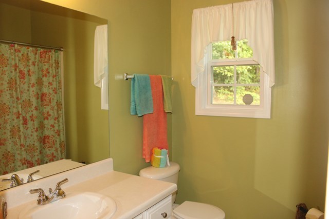 313 Hickory Road Jackson, GA 30233 - Photo 13 of 17 a bathroom with a sink a toilet and shower curtain