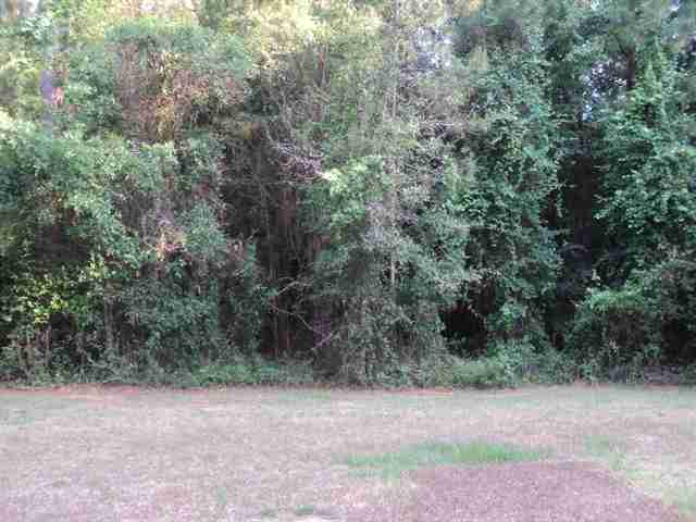 2059 Page Road, Unit X Woodville, FL 32305 - Photo 3 of 21 Gallery Image 3