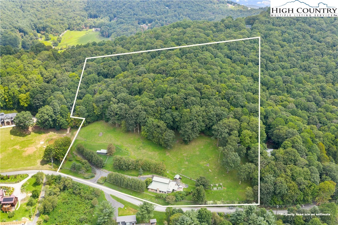 3760 Bald Mountain Road West Jefferson, NC 28694 - Photo 3 of 50