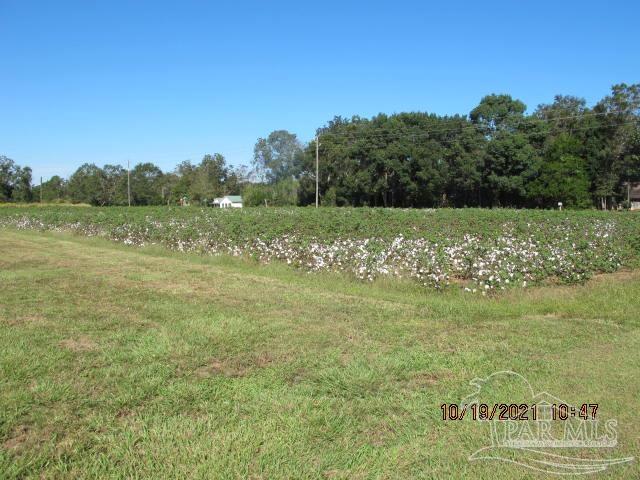 6161 Mitchell Road Walnut Hill, FL 32568 - Photo 49 of 49 Gallery Image 49