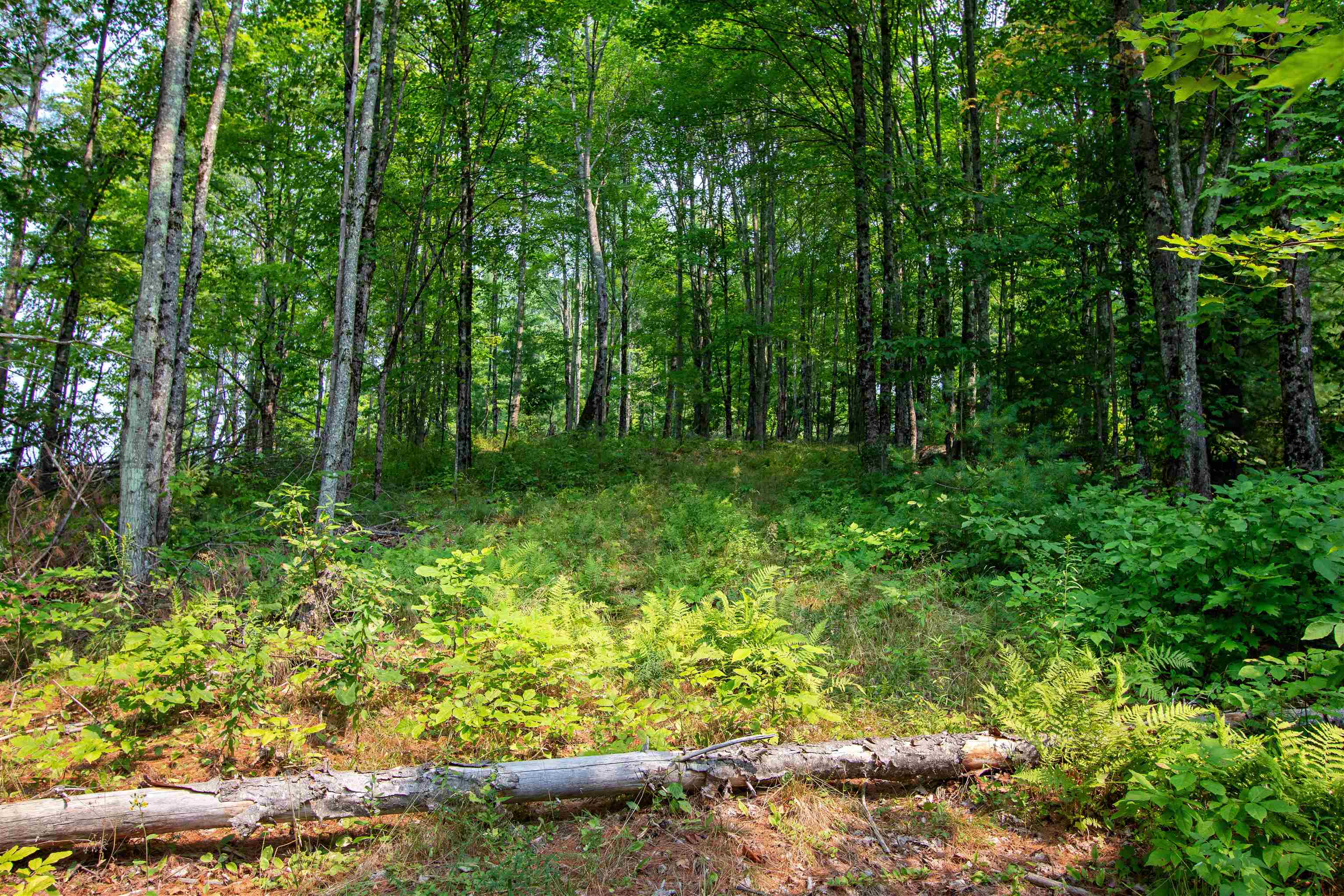 1201 Shadow Lake Road Waterford, VT 05819 - Photo 51 of 58