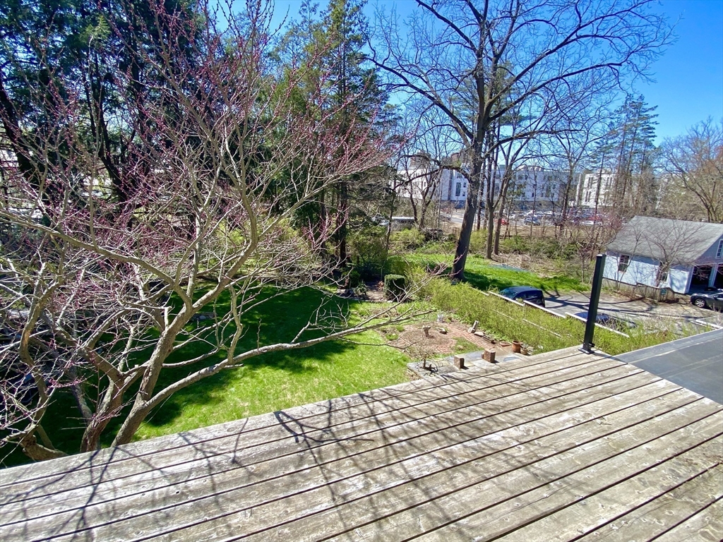 14 Nutting Avenue Amherst, MA 01002 - Photo 26 of 41 a park view with a bench and trees