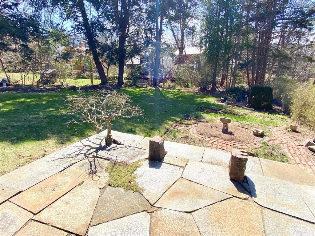 14 Nutting Avenue Amherst, MA 01002 - Photo 39 of 41 a view of a backyard with plants and trees