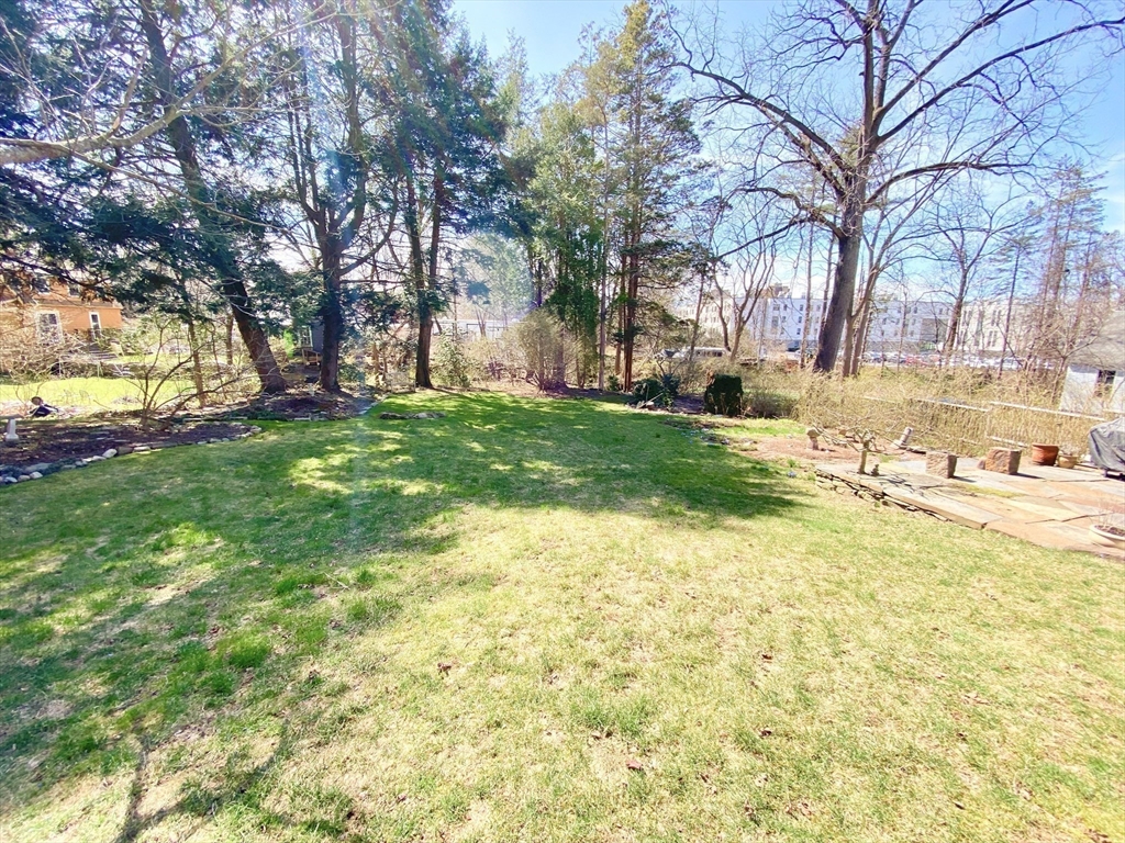 14 Nutting Avenue Amherst, MA 01002 - Photo 40 of 41 a view of a yard with trees