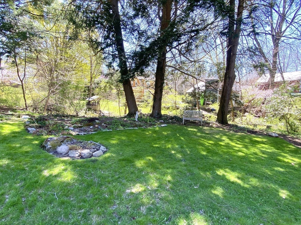 14 Nutting Avenue Amherst, MA 01002 - Photo 41 of 41 a view of yard with green space