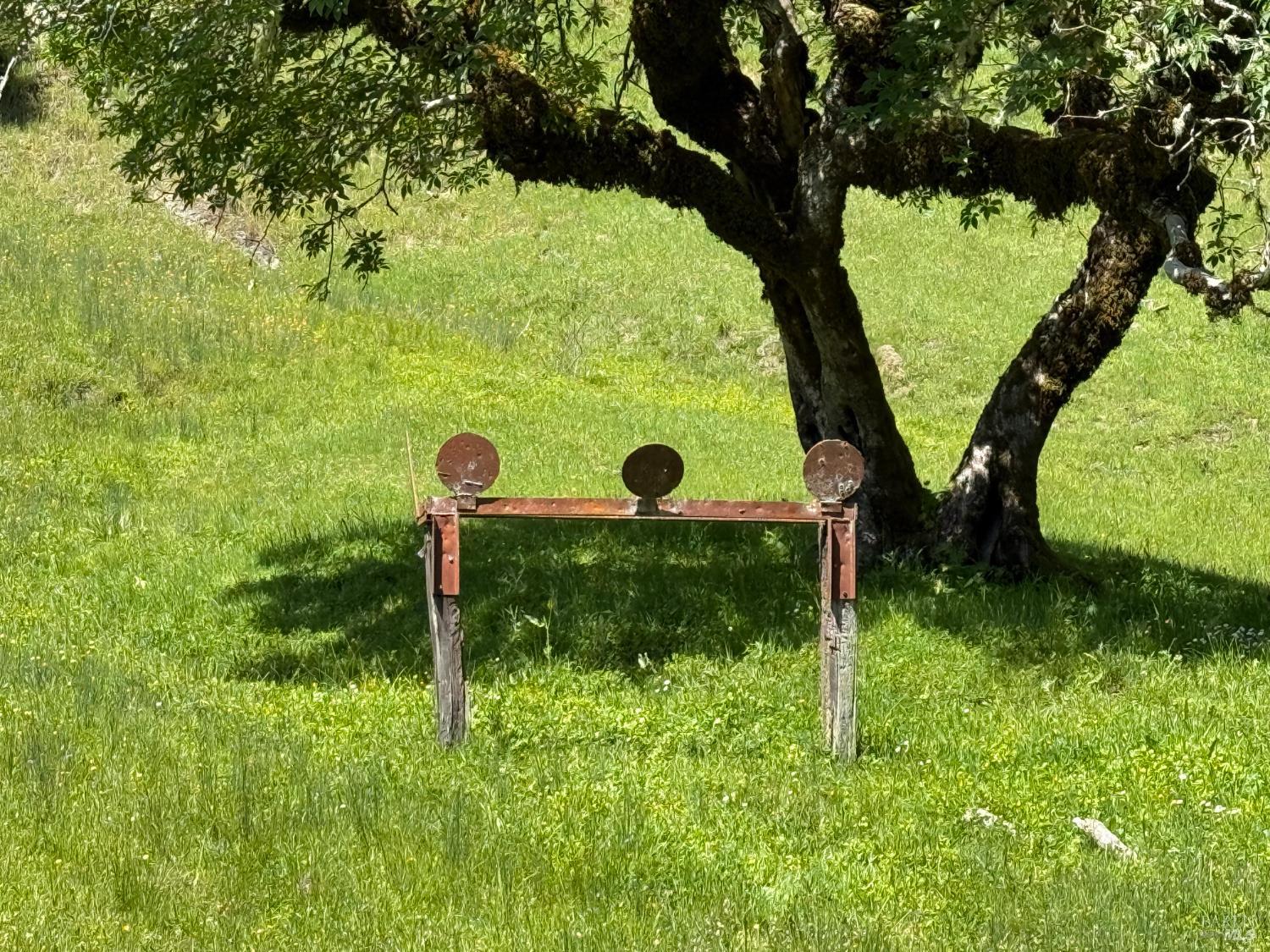 38555 Hauser Bridge Road Cazadero, CA 95421 - Photo 71 of 93