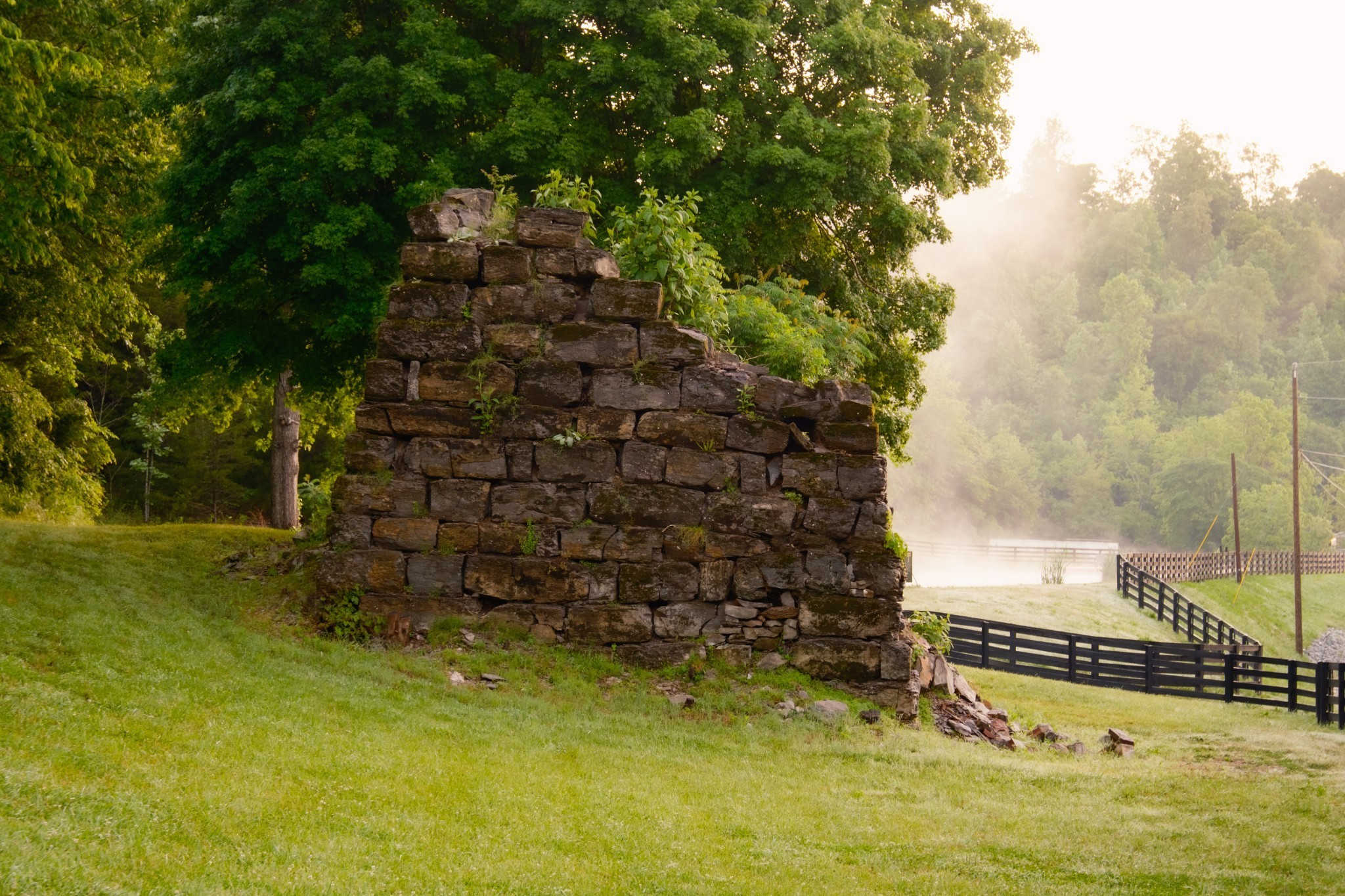7556 Caney Fork Road Fairview, TN 37062 - Photo 47 of 47 Gallery Image 47