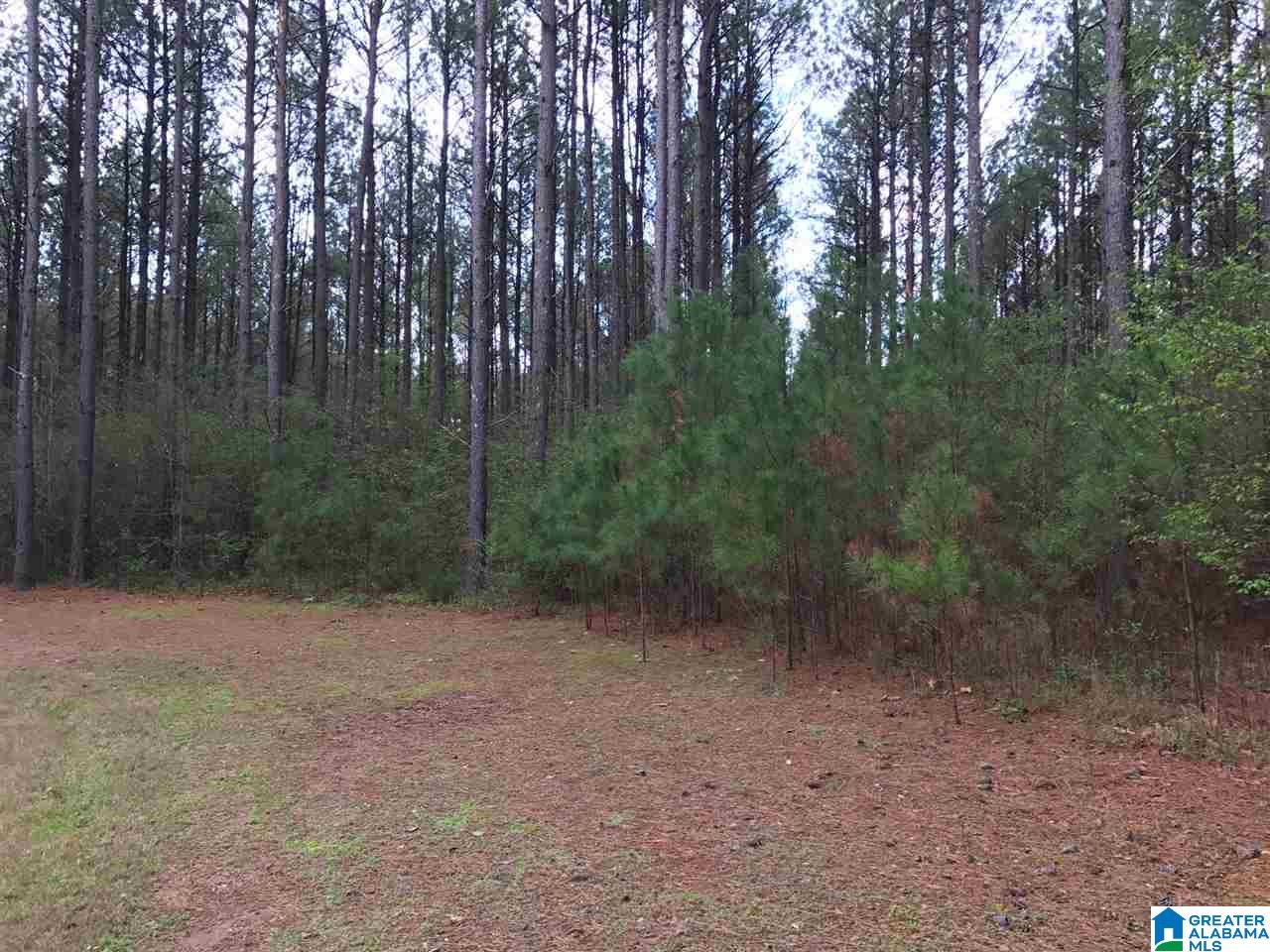 78 Pilgrims Path, Unit 19 Anniston, AL 36207 - Photo 11 of 35