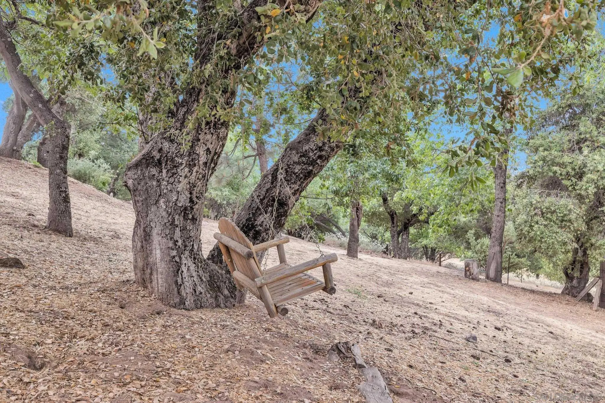 3839 Deer Lake Park Road Julian, CA 92036 - Photo 32 of 74 a view of a yard with a tree