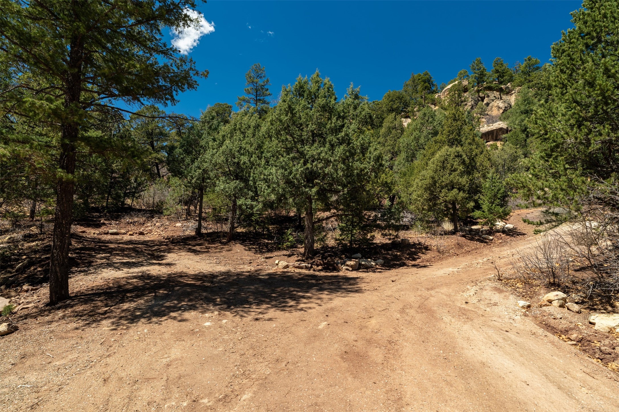 30 Monte La Cueva Road Glorieta, NM 87535 - Photo 62 of 91