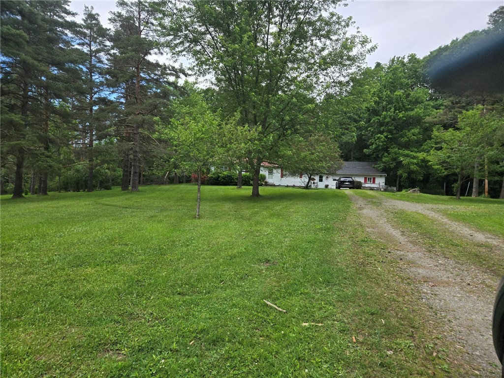 7619 Wheaton Hill Road Springwater, NY 14560 - Photo 2 of 10