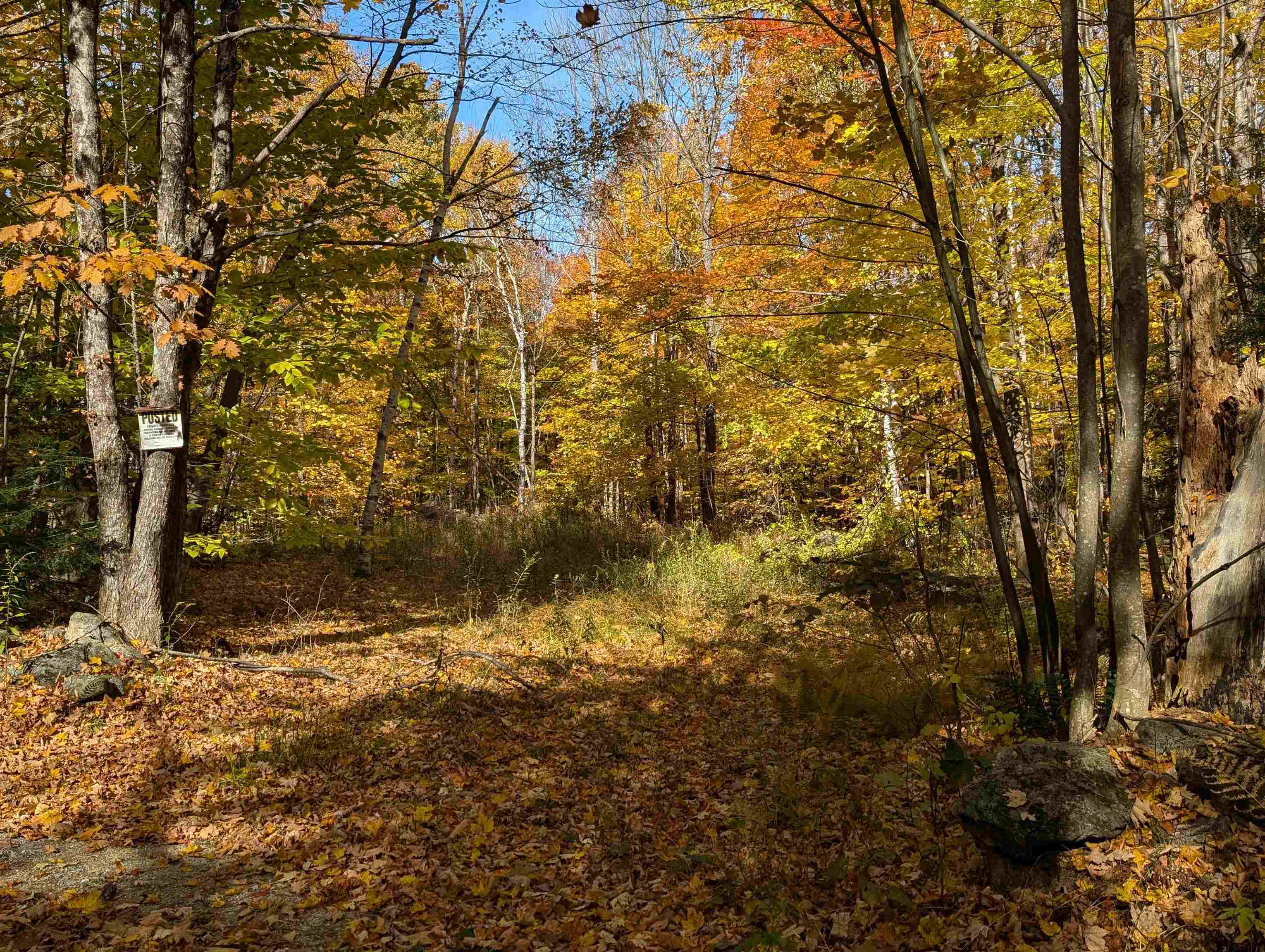 Lot 7-13 Mountain Road Francestown, NH 03043 - Photo 14 of 24
