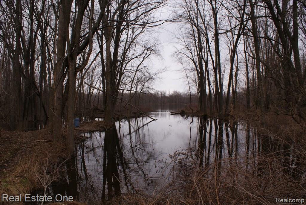 861 Lake Nepessing Road Lapeer, MI 48446 - Photo 10 of 17