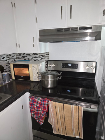 1273 North 400 East, Unit 4 Logan, UT 84341 - Photo 4 of 12 Stainless steel range and matching overhead hood