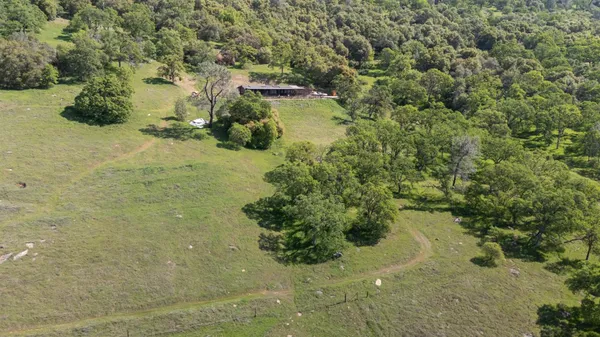 $599,000 | 1560 Pinto Drive, Angels Camp, CA 95222