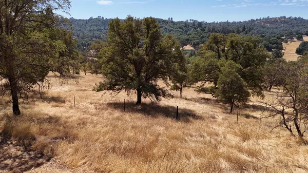 $599,000 | 1560 Pinto Drive, Angels Camp, CA 95222