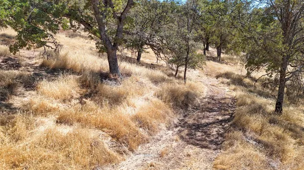 $599,000 | 1560 Pinto Drive, Angels Camp, CA 95222