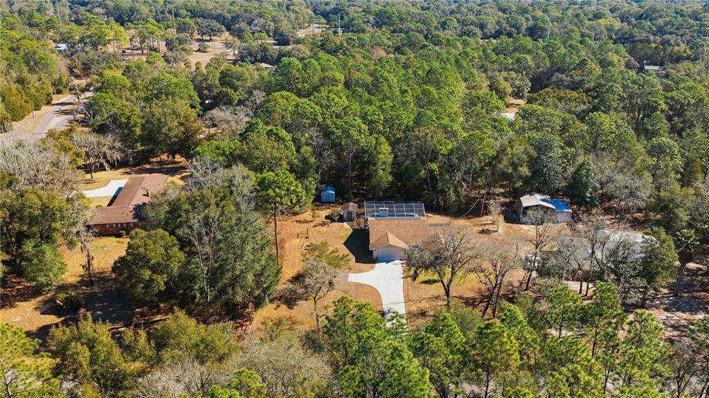 8951 Southwest 202nd Avenue Road Dunnellon, FL 34431 - Photo 33 of 38 a view of statue in middle of the green field