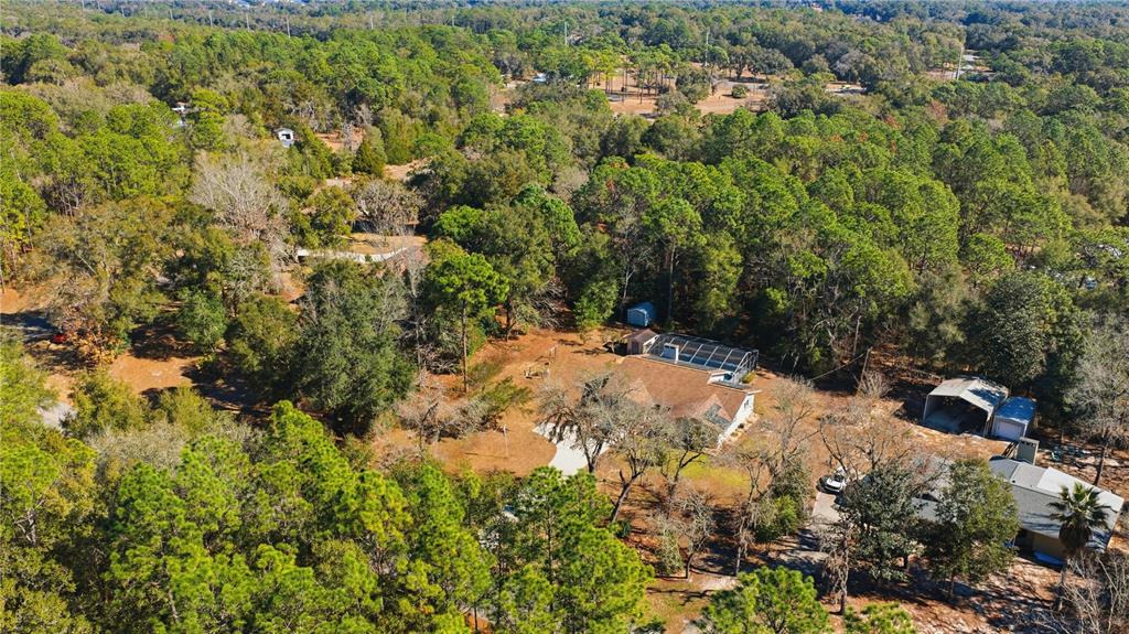 8951 Southwest 202nd Avenue Road Dunnellon, FL 34431 - Photo 34 of 38 a view of a bunch of trees and bushes