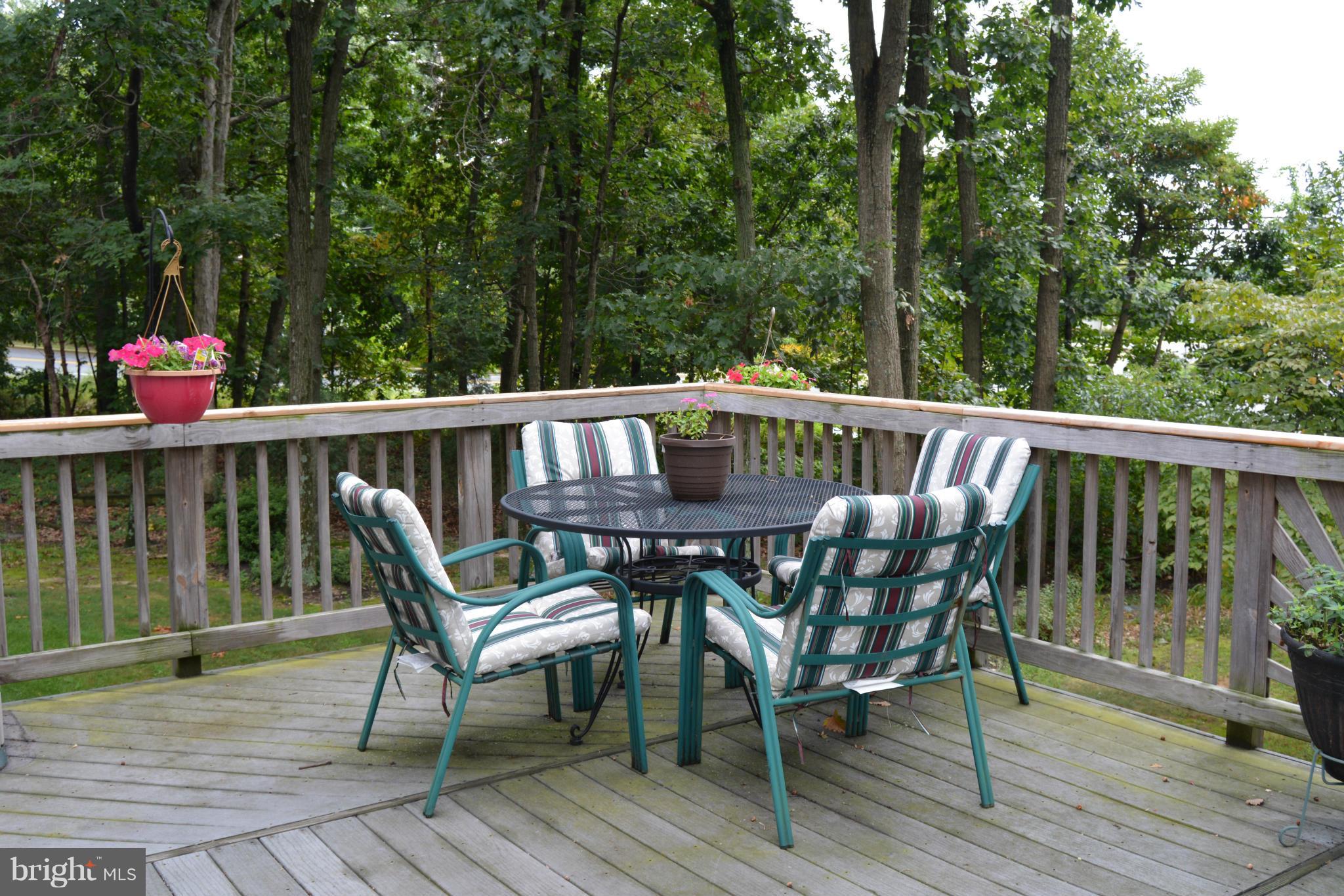 765 Fawnelm Road Severn, MD 21144 - Photo 11 of 29 Spacious Deck Seating area