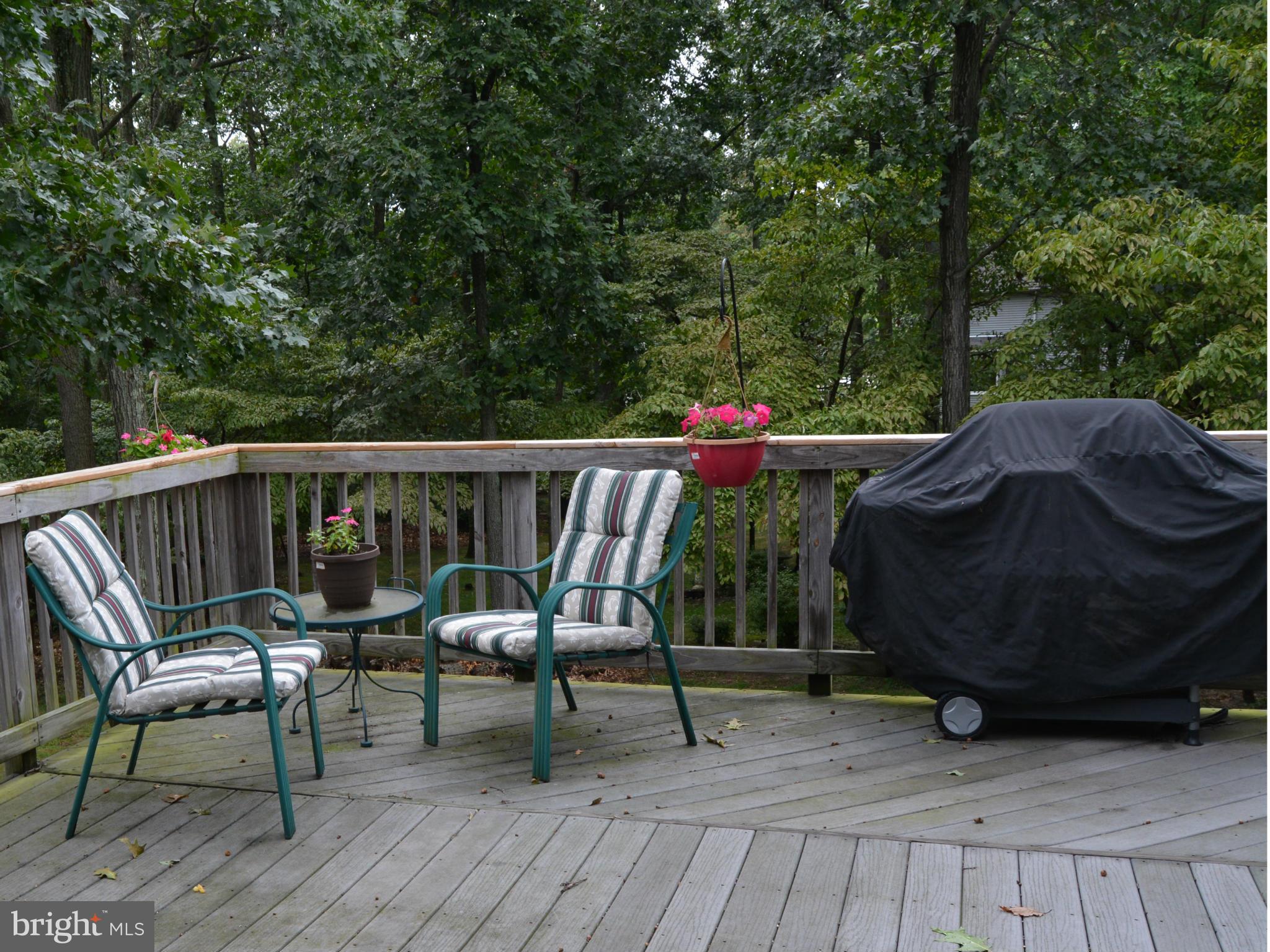 765 Fawnelm Road Severn, MD 21144 - Photo 12 of 29 Large Deck for Entertaining