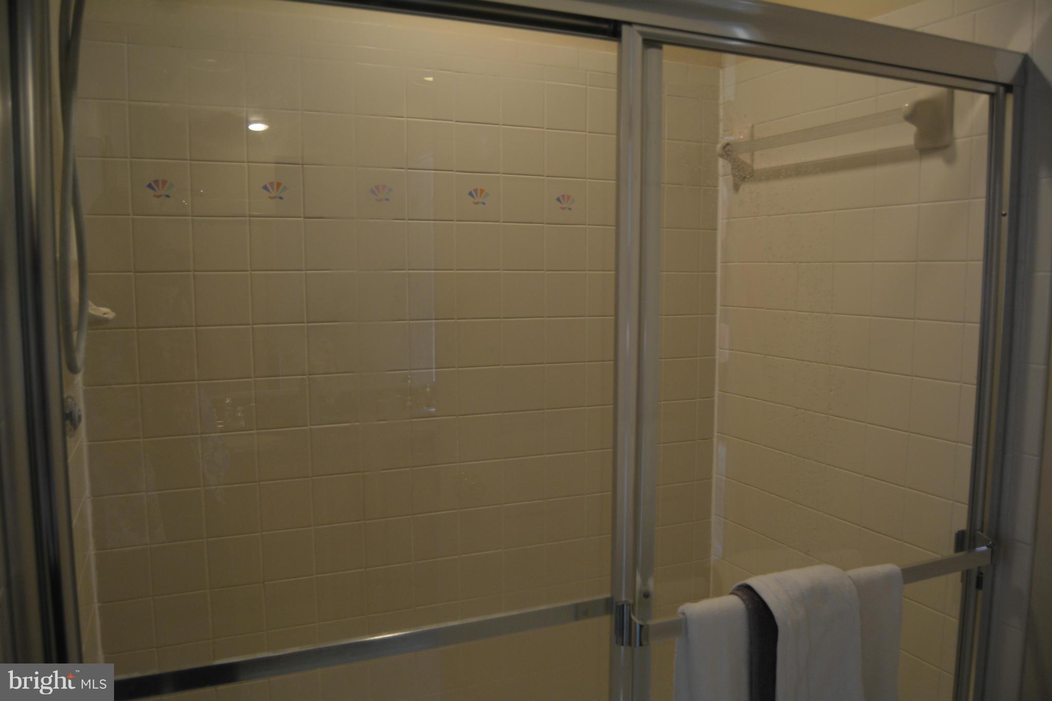 765 Fawnelm Road Severn, MD 21144 - Photo 17 of 29 Master Bath Separate Shower