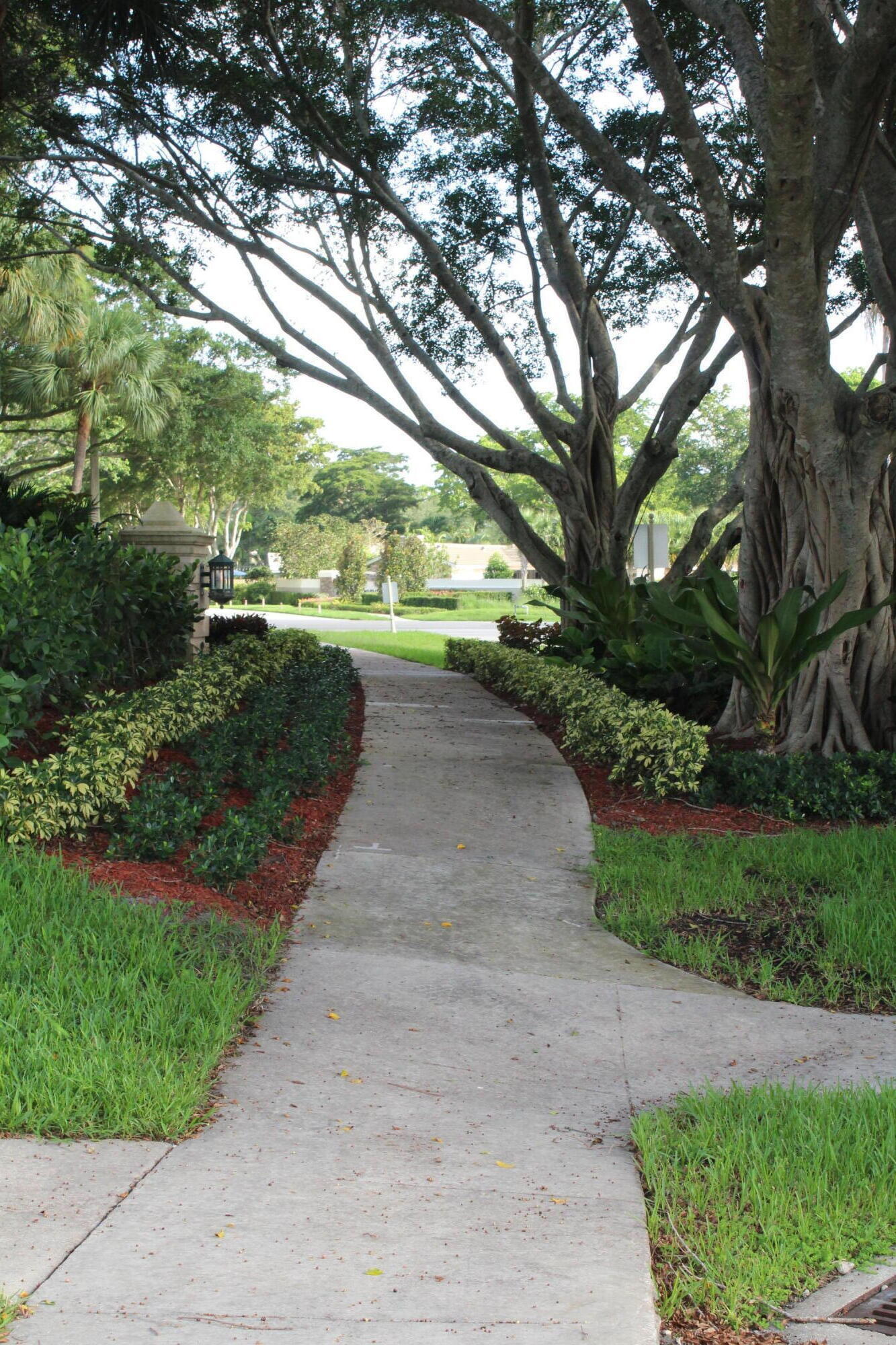 2414 Northwest 30th Road Boca Raton, FL 33431 - Photo 41 of 64 IMG_5969