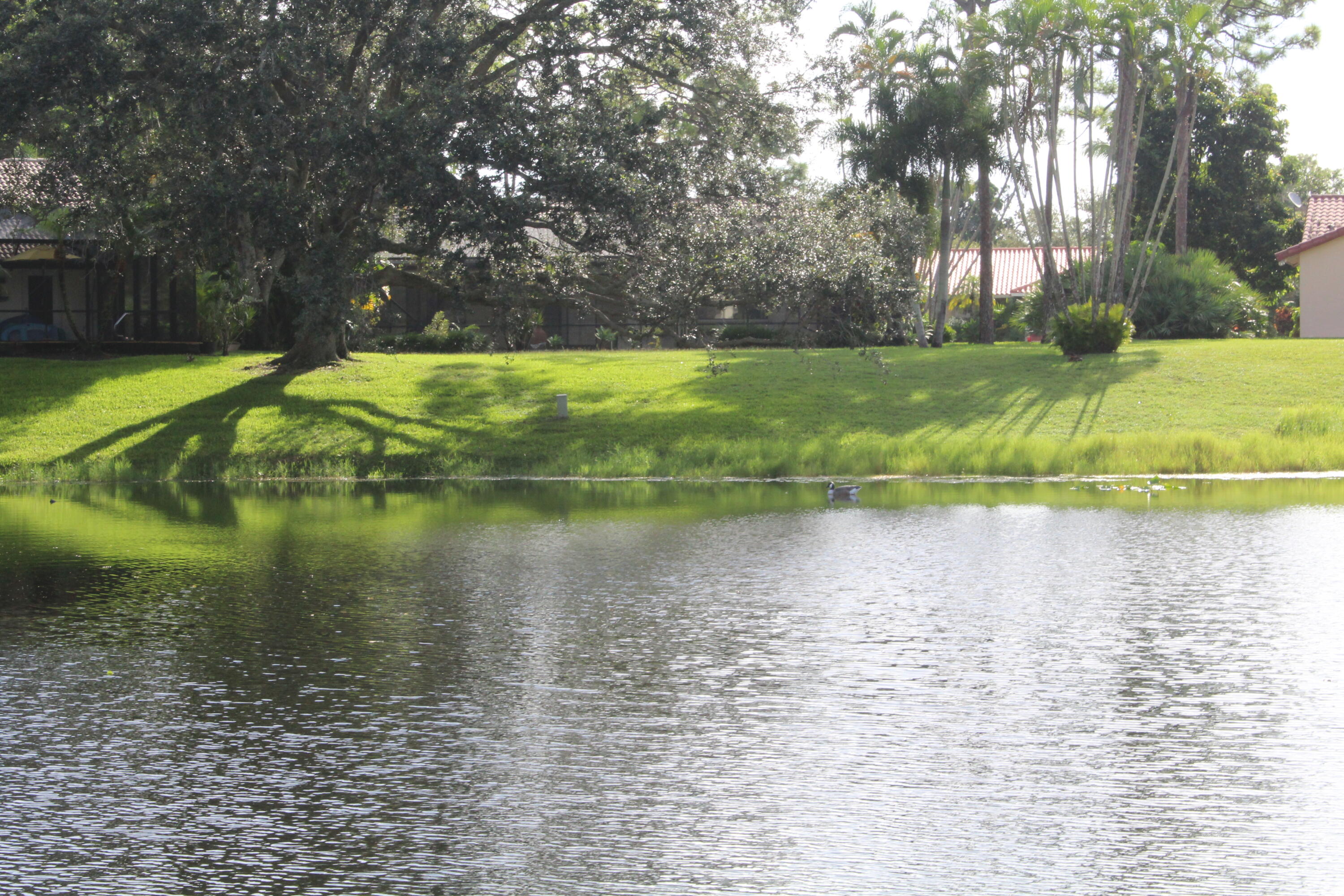 2414 Northwest 30th Road Boca Raton, FL 33431 - Photo 45 of 64 IMG_5976