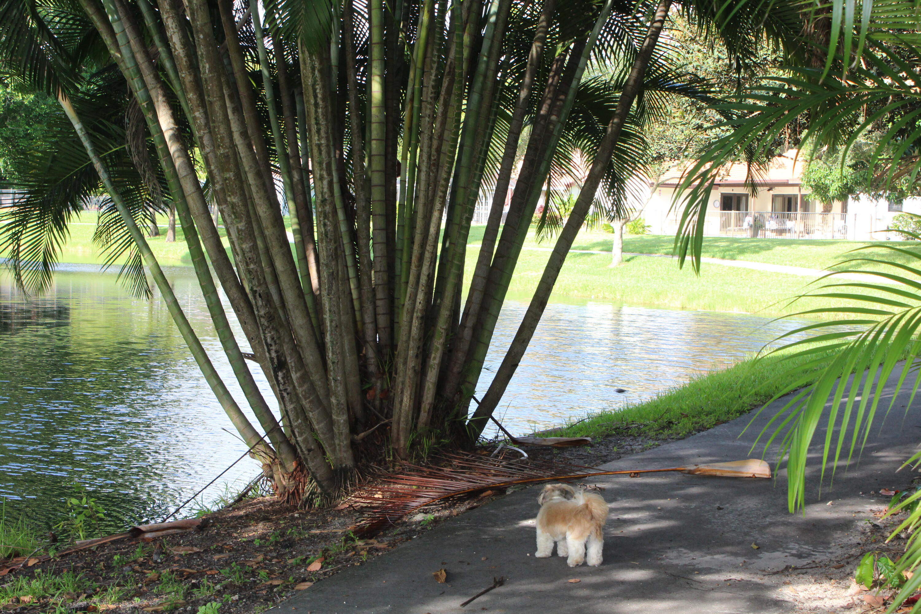 2414 Northwest 30th Road Boca Raton, FL 33431 - Photo 46 of 64 IMG_5978