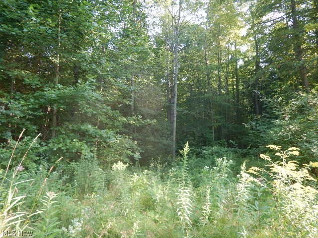 North County Line Road Geneva, OH 44041 - Photo 10 of 32