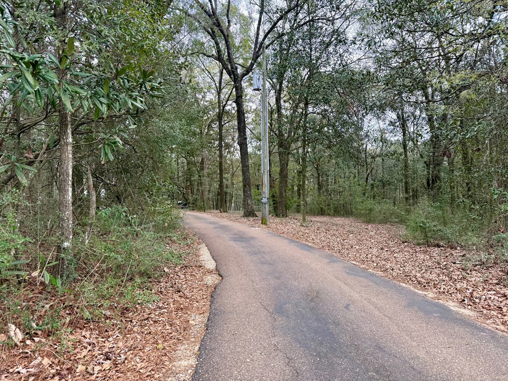 836 Campbell Road Hartford, AL 36344 - Photo 23 of 41