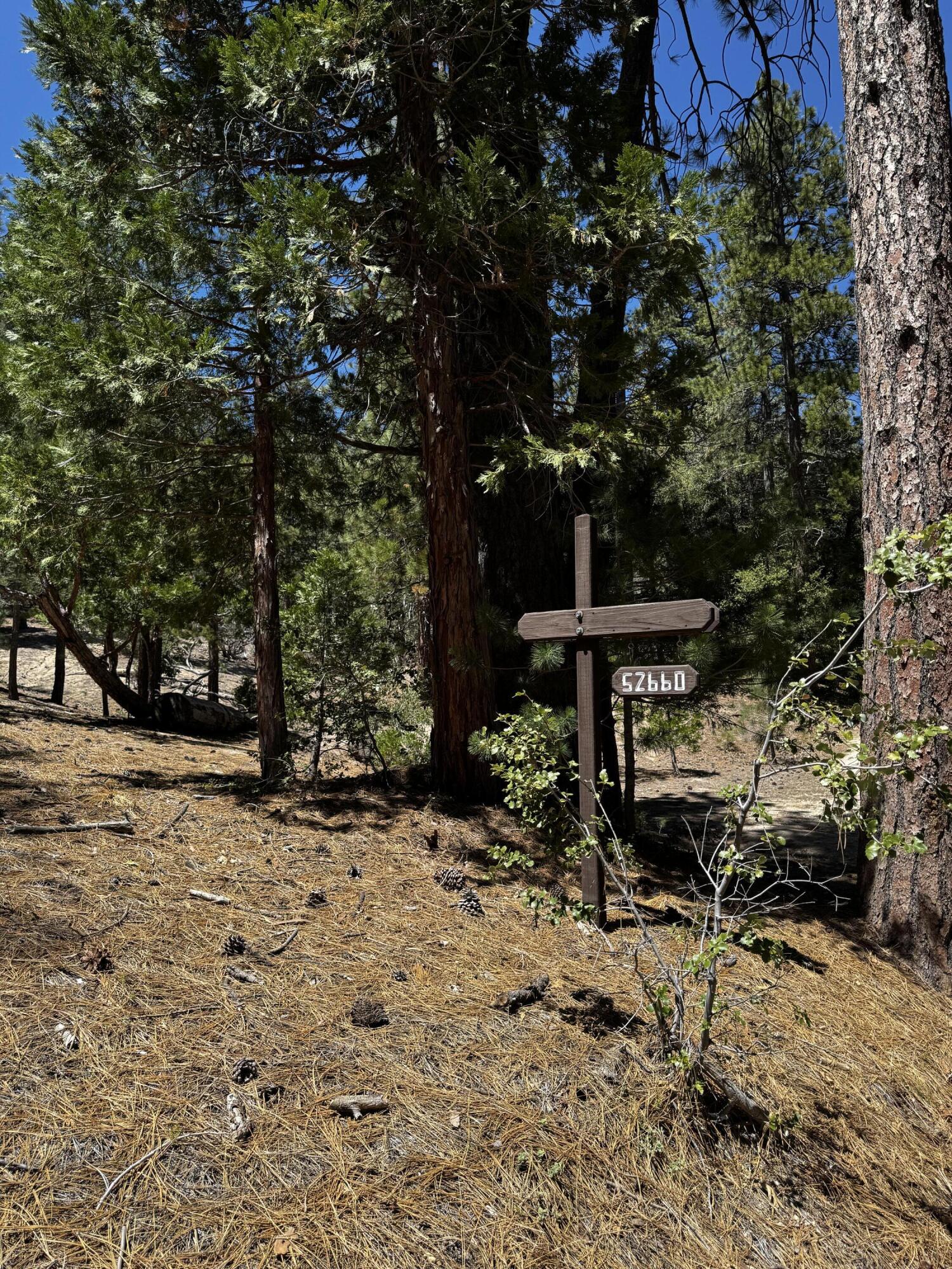 52660 Forest Rte 4S02 Idyllwild, CA 92549 - Photo 18 of 88 IMG_7167