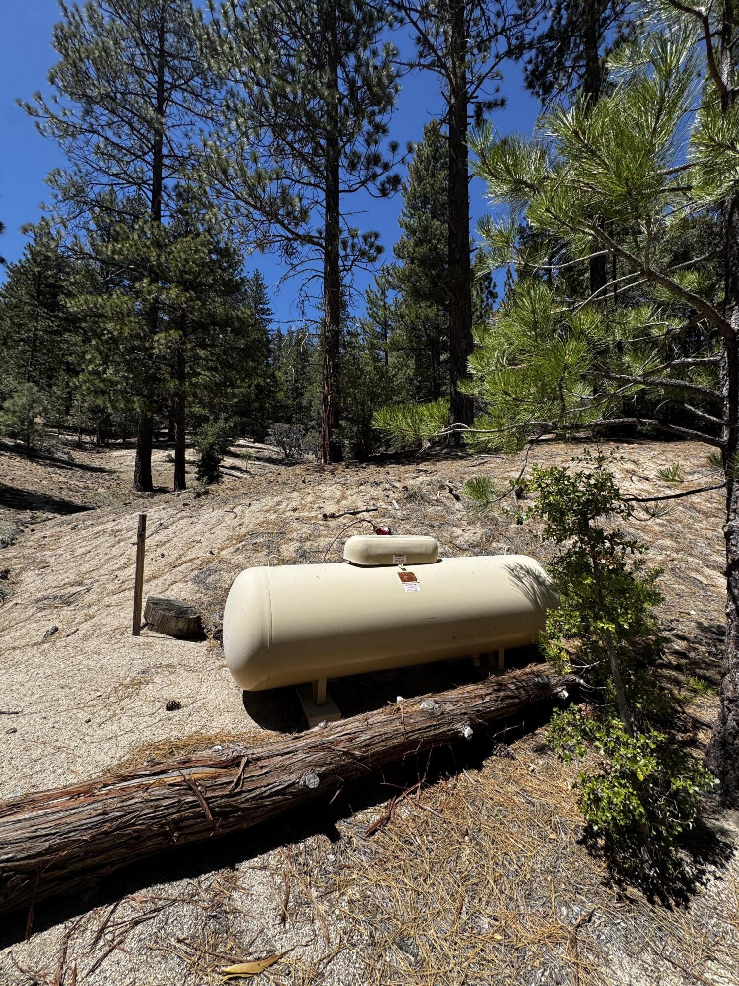 52660 Forest Rte 4S02 Idyllwild, CA 92549 - Photo 20 of 88 IMG_7165