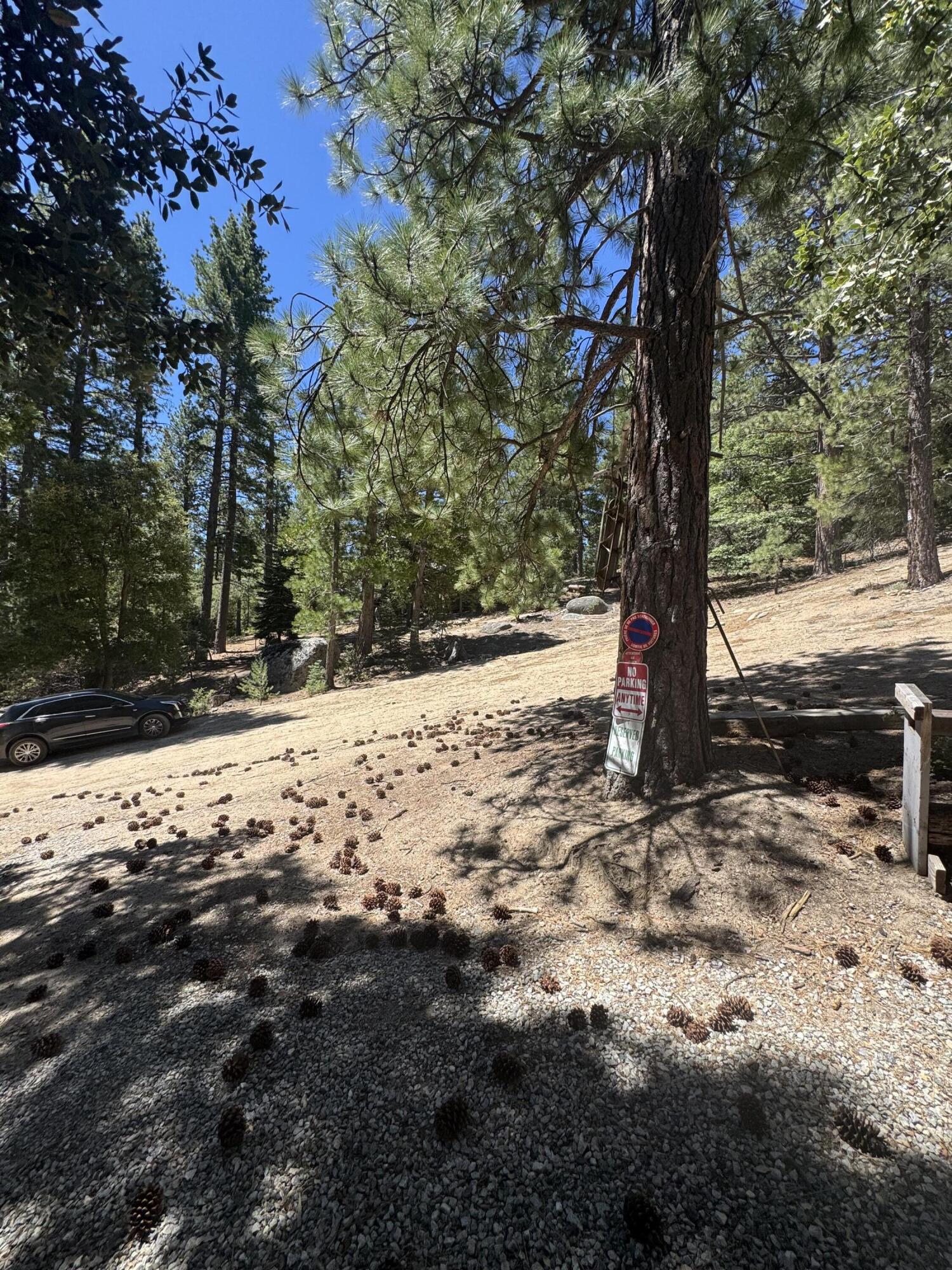 52660 Forest Rte 4S02 Idyllwild, CA 92549 - Photo 22 of 88 IMG_9184