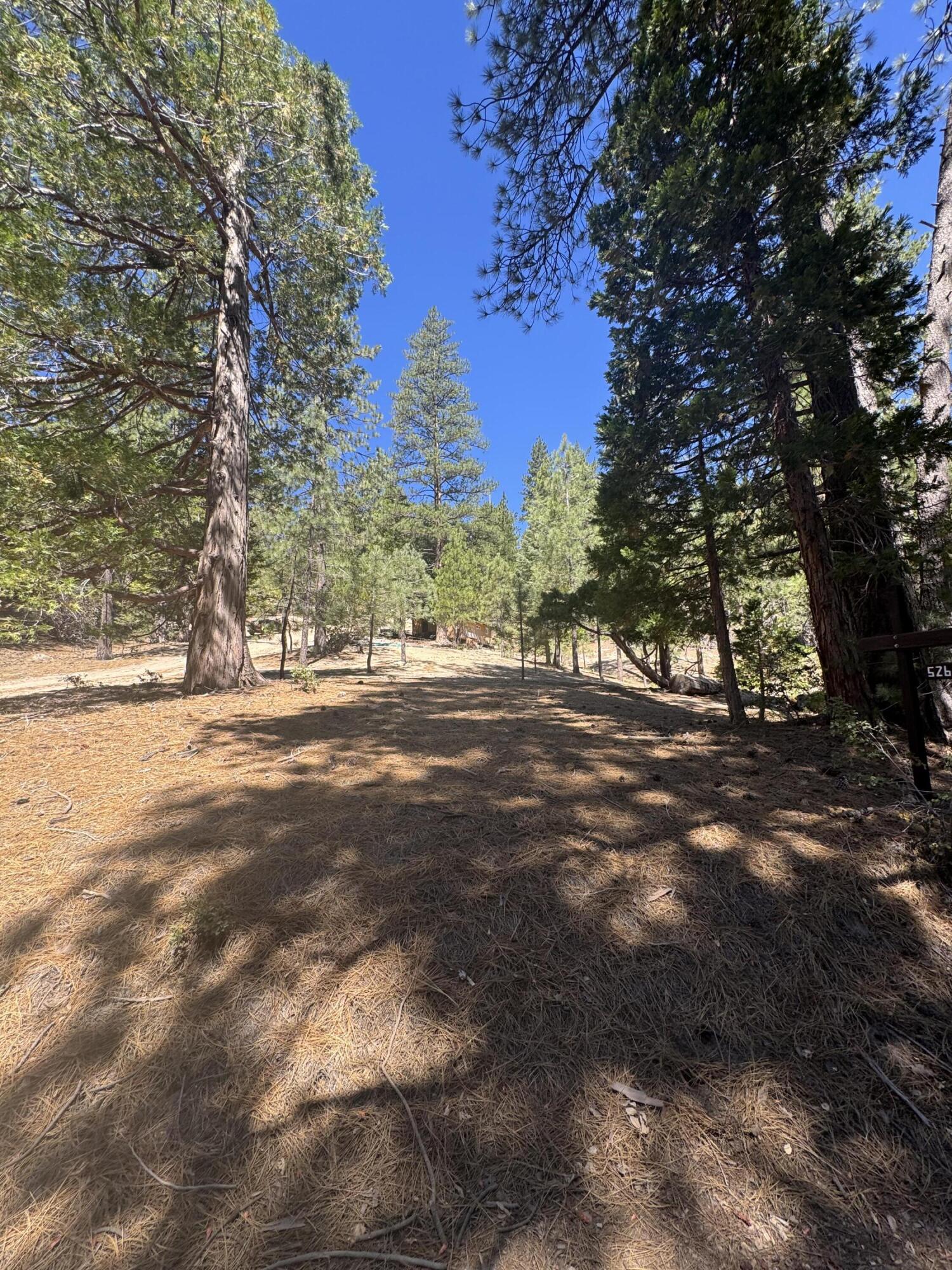 52660 Forest Rte 4S02 Idyllwild, CA 92549 - Photo 68 of 88 IMG_9109