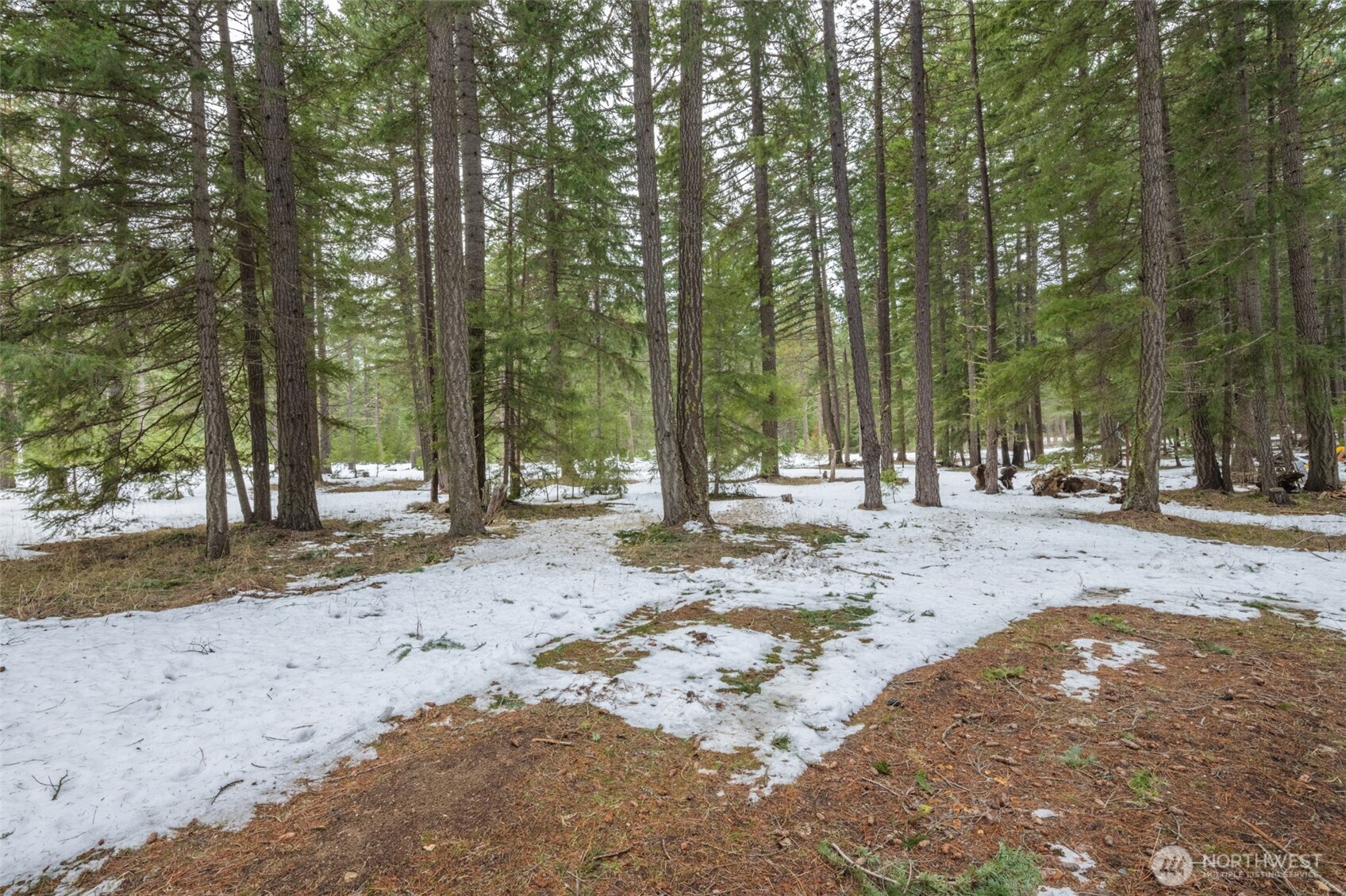 180 Whyworry Lane Ronald, WA 98940 - Photo 19 of 34